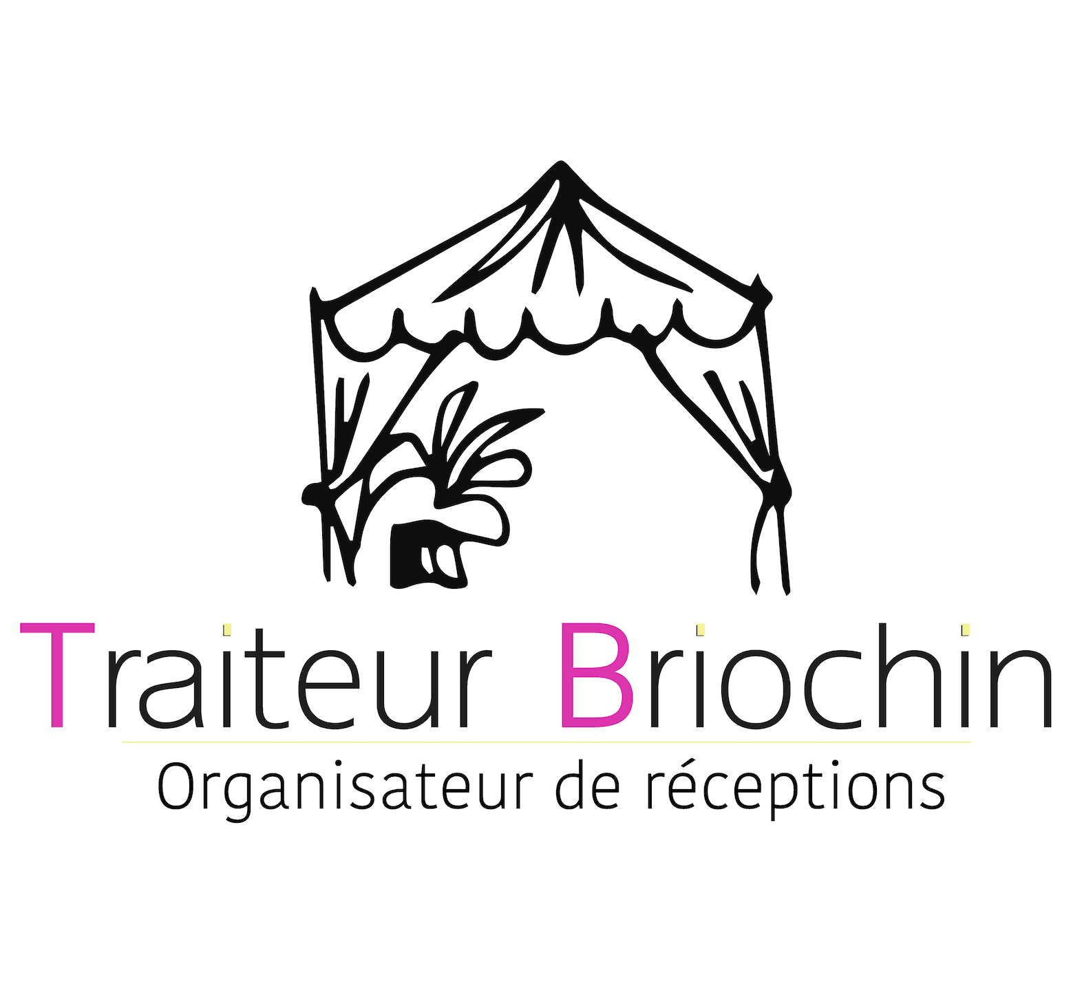 Logo TRAITEUR BRIOCHIN